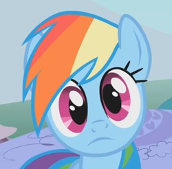 Size: 470x462 | Tagged: safe, screencap, character:rainbow dash, species:pegasus, species:pony, episode:dragonshy, g4, my little pony: friendship is magic, breaking the fourth wall, cropped, cute, dashabetes, female, frown, looking at you, mare, reaction image, solo, stare, wide eyes