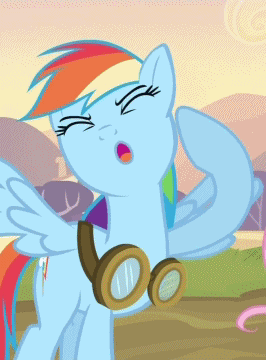 Size: 266x360 | Tagged: safe, screencap, character:rainbow dash, species:pegasus, species:pony, episode:hurricane fluttershy, g4, my little pony: friendship is magic, animated, cropped, cute, dashabetes, eyes closed, faec, goggles, offscreen character, solo, talking