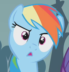 Size: 244x255 | Tagged: safe, screencap, character:rainbow dash, species:pegasus, species:pony, episode:swarm of the century, g4, my little pony: friendship is magic, :o, confused, cropped, cute, dashabetes, female, mare, open mouth, raised eyebrow, reaction image, solo, stare