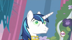 Size: 1366x768 | Tagged: safe, screencap, character:shining armor, ghost, youtube caption, youtube link