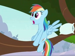 Size: 800x600 | Tagged: safe, screencap, character:rainbow dash, species:pegasus, species:pony, episode:may the best pet win, g4, my little pony: friendship is magic, female, hub logo, mare, morning wing, morning wood, solo, stick, tree