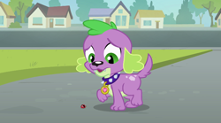 Size: 708x394 | Tagged: safe, screencap, character:spike, my little pony:equestria girls, ladybug, solo