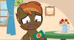 Size: 1360x738 | Tagged: safe, screencap, character:button mash, species:earth pony, species:pony, button's adventures, clothing, colt, crying, foal, hat, hooves, juice box, male, open mouth, ponyville, propeller hat, sad, solo, window
