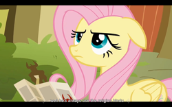 Size: 1024x640 | Tagged: safe, screencap, character:fluttershy, episode:putting your hoof down, g4, my little pony: friendship is magic, hindu, hinduism, youtube caption