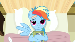 Size: 1678x942 | Tagged: safe, screencap, character:rainbow dash, species:pegasus, species:pony, episode:read it and weep, g4, my little pony: friendship is magic, bandaid, book, cute, dashabetes, female, lidded eyes, looking at you, mare, solo