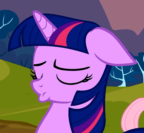 Size: 503x466 | Tagged: safe, screencap, character:twilight sparkle, character:twilight sparkle (unicorn), species:pony, species:unicorn, episode:hurricane fluttershy, g4, my little pony: friendship is magic, animated, cute, duckface, eye shimmer, female, floppy ears, mare, pouting, puppy dog eyes, sad, sadorable, solo