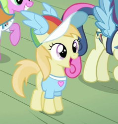 Size: 538x564 | Tagged: safe, screencap, character:bon bon, character:daisy, character:noi, character:rainbow dash, character:sweetie drops, episode:the mysterious mare do well, g4, my little pony: friendship is magic, clothing, fan, fanclub, fangirl, filly, happy, hat, heart, shirt, t-shirt, wings