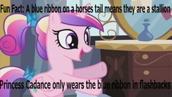 Size: 853x480 | Tagged: safe, screencap, character:princess cadance, bow, caption, fun fact, image macro, implications, open mouth, ribbon, smiling, solo, tail bow, transgender