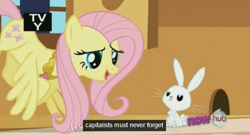 Size: 573x309 | Tagged: safe, screencap, character:angel bunny, character:fluttershy, episode:keep calm and flutter on, g4, my little pony: friendship is magic, capitalist, element of kindness, elements of harmony, hub logo, meme, necklace, tv rating, youtube caption