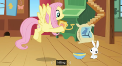 Size: 851x468 | Tagged: safe, screencap, character:angel bunny, character:fluttershy, episode:putting your hoof down, g4, my little pony: friendship is magic, meme, youtube caption
