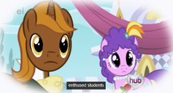 Size: 573x308 | Tagged: safe, screencap, episode:the ticket master, g4, my little pony: friendship is magic, background pony, chocolate tail, clothing, dress, earring, ei, hub logo, hubble, meme, necklace, purple wave, rose, student, students, suit, the hub, youtube caption