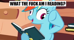 Size: 852x467 | Tagged: safe, screencap, character:rainbow dash, derp, reading, solo, vulgar, what the fuck am i reading