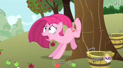 Size: 640x355 | Tagged: safe, screencap, character:pinkamena diane pie, character:pinkie pie, species:earth pony, species:pony, episode:magical mystery cure, g4, my little pony: friendship is magic, anatomically incorrect, apple, applebucking, basket, bucking, bushel basket, fail, food, frown, incorrect leg anatomy, meme, mlp-captions, open mouth, ouch, solo, swapped cutie marks, this, tree, underhoof, wide eyes, youtube caption