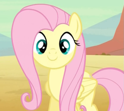 Size: 559x499 | Tagged: safe, screencap, character:fluttershy, species:pegasus, species:pony, episode:the last roundup, g4, my little pony: friendship is magic, c:, cute, female, looking at you, mare, shyabetes, smiling, solo