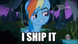 Size: 960x540 | Tagged: safe, screencap, character:rainbow dash, episode:daring don't, g4, my little pony: friendship is magic, season 4, grin, hub logo, hubble, image macro, rainbow dash is best facemaker, reaction image, shipper on deck, smirk, smugdash, solo, the hub
