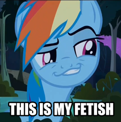 Size: 862x865 | Tagged: safe, screencap, character:rainbow dash, episode:daring don't, g4, my little pony: friendship is magic, season 4, caption, faec, grin, image macro, reaction image, smirk, smug, smugdash, solo, that is my fetish