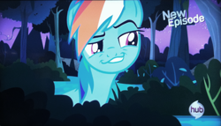 Size: 2149x1233 | Tagged: safe, screencap, character:rainbow dash, episode:daring don't, g4, my little pony: friendship is magic, face, faec, smugdash, solo
