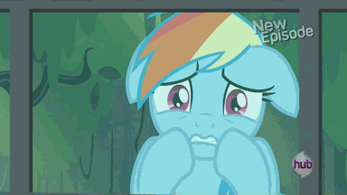 Size: 384x216 | Tagged: safe, screencap, character:rainbow dash, episode:daring don't, g4, my little pony: friendship is magic, against glass, animated, hub logo, hubble, observer, scared, solo, the hub, window