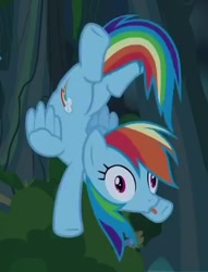 Size: 377x493 | Tagged: safe, screencap, character:rainbow dash, species:pegasus, species:pony, episode:daring don't, g4, my little pony: friendship is magic, animation error, backbend, blep, derp, female, flying, looking at you, mare, rainbow derp, silly, silly pony, solo, tongue out, wide eyes