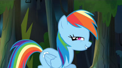 Size: 1280x714 | Tagged: safe, screencap, character:rainbow dash, episode:daring don't, g4, my little pony: friendship is magic, lidded eyes, looking at you, solo