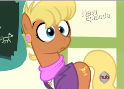 Size: 488x352 | Tagged: safe, screencap, character:ms. harshwhinny, episode:flight to the finish, g4, my little pony: friendship is magic, hub logo, solo
