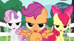 Size: 624x350 | Tagged: safe, screencap, character:apple bloom, character:scootaloo, character:sweetie belle, species:pegasus, species:pony, episode:flight to the finish, g4, my little pony: friendship is magic, cutie mark crusaders, hub logo, looking at you