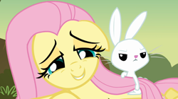 Size: 1054x591 | Tagged: safe, screencap, character:angel bunny, character:fluttershy, episode:hurricane fluttershy, g4, my little pony: friendship is magic