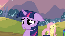 Size: 1054x591 | Tagged: safe, screencap, character:fluttershy, character:twilight sparkle, episode:hurricane fluttershy, g4, my little pony: friendship is magic