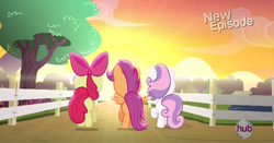 Size: 620x326 | Tagged: safe, screencap, character:apple bloom, character:scootaloo, character:sweetie belle, species:pegasus, species:pony, episode:flight to the finish, g4, my little pony: friendship is magic, cutie mark crusaders, fence, hub logo, hubble, sun, sunset, the hub, tree