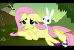 Size: 473x318 | Tagged: safe, screencap, character:angel bunny, character:fluttershy, beard, facial hair