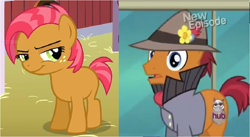 Size: 1126x618 | Tagged: safe, screencap, character:babs seed, episode:rarity takes manehattan, g4, my little pony: friendship is magic, all new, comparison, hub logo, sourpuss, text
