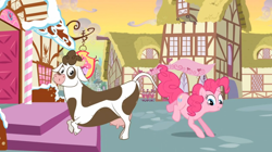 Size: 1050x590 | Tagged: safe, screencap, character:daisy jo, character:pinkie pie, species:cow, species:earth pony, species:pony, episode:a friend in deed, g4, my little pony: friendship is magic, cloven hooves, female, mare, moo, udder