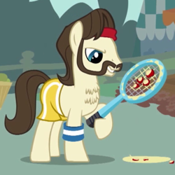 Size: 300x300 | Tagged: safe, screencap, episode:call of the cutie, g4, my little pony: friendship is magic, ace, ace point, background pony, chest fluff, clothing, solo, tennis racket