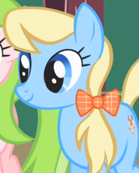Size: 342x426 | Tagged: safe, screencap, character:apple cider, species:earth pony, species:pony, episode:friendship is magic, g4, my little pony: friendship is magic, apple cider (drink), apple family member, background pony, bow, cropped, female, hair bow, mare, solo, solo focus