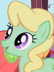 Size: 368x490 | Tagged: safe, screencap, character:apple honey, character:big mcintosh, species:earth pony, species:pony, episode:friendship is magic, g4, my little pony: friendship is magic, apple family member, background pony, male, stallion