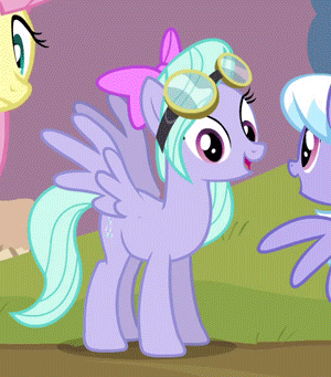 Size: 300x341 | Tagged: safe, screencap, character:cloudchaser, character:flitter, character:fluttershy, episode:hurricane fluttershy, g4, my little pony: friendship is magic, animated, bow, cropped, eyes closed, goggles, happy, offscreen character, raised hoof, smiling, solo focus, spread wings, standing, wings