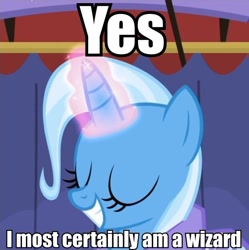 Size: 556x559 | Tagged: safe, screencap, character:trixie, species:pony, species:unicorn, episode:boast busters, g4, my little pony: friendship is magic, are you a wizard, captain obvious, female, image macro, mare, meme, reaction image, solo, subverted meme, trixie yells at everything, wizard