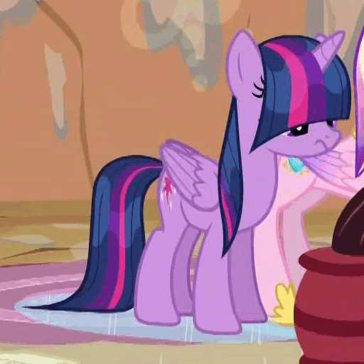 Size: 512x512 | Tagged: safe, screencap, character:princess cadance, character:twilight sparkle, character:twilight sparkle (alicorn), species:alicorn, species:pony, episode:three's a crowd, g4, my little pony: friendship is magic, animated, bangs, covering eyes, dripping, female, frown, hair over eyes, mare, wet, wet mane