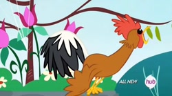 Size: 1016x565 | Tagged: safe, screencap, species:bird, species:chicken, species:rooster, episode:filli vanilli, g4, my little pony: friendship is magic, animal, crowing, hub logo, solo