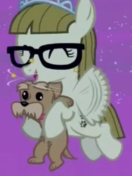 Size: 305x406 | Tagged: safe, screencap, character:zipporwhill, species:dog, species:pegasus, species:pony, episode:filli vanilli, g4, my little pony: friendship is magic, carrying, circling stars, cute, derp, dizzy, eyes closed, filly, flapping, flying, glasses, happy, hug, open mouth, ripley, smiling, zipporbetes