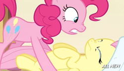 Size: 536x306 | Tagged: safe, screencap, character:fluttershy, character:pinkie pie, episode:filli vanilli, g4, my little pony: friendship is magic, season 4, crying, out of context, towel