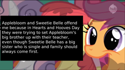 Size: 500x282 | Tagged: safe, screencap, character:apple bloom, character:big mcintosh, character:cheerilee, character:rarity, character:scootaloo, character:sweetie belle, species:pegasus, species:pony, episode:hearts and hooves day, g4, my little pony: friendship is magic, cutie mark crusaders, meta, offensive ponies, text