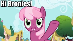 Size: 960x540 | Tagged: safe, screencap, character:cheerilee, brony, bronybait, fourth wall, image macro, ponyville, smiling, waving
