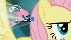 Size: 1010x565 | Tagged: safe, screencap, character:fluttershy, character:seabreeze, episode:it ain't easy being breezies, g4, my little pony: friendship is magic, hub logo