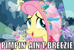 Size: 700x479 | Tagged: safe, screencap, character:fluttershy, character:seabreeze, species:breezies, episode:it ain't easy being breezies, g4, my little pony: friendship is magic, caption, image macro, meme, pimpin' ain't easy, pun