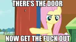 Size: 960x539 | Tagged: safe, screencap, character:fluttershy, episode:it ain't easy being breezies, g4, my little pony: friendship is magic, door, gtfo, image macro, meme, reaction image, solo, vulgar