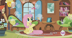 Size: 1152x610 | Tagged: safe, screencap, character:breezette, character:fluttershy, species:breezies, episode:it ain't easy being breezies, g4, my little pony: friendship is magic, clothing, hat, hub logo, meme, mushroom hat, youtube caption