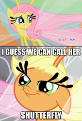 Size: 568x838 | Tagged: safe, screencap, character:applejack, character:fluttershy, character:shutterfly, species:breezies, species:pony, episode:it ain't easy being breezies, g4, my little pony: friendship is magic, :t, all new, applebreezie, breeziefied, carlos, carlosjack, cute, female, floppy ears, flutterbreez, grin, hub logo, hubble, image macro, lidded eyes, looking back, mare, meme, pun, shyabetes, smiling, smirk, species swap, squee, text, the hub