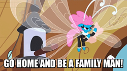 Size: 778x437 | Tagged: safe, screencap, character:seabreeze, species:breezies, episode:it ain't easy being breezies, g4, my little pony: friendship is magic, guile, image macro, meme, seabreeze the family man, solo, street fighter