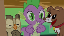 Size: 800x450 | Tagged: safe, screencap, character:owlowiscious, character:spike, character:winona, episode:just for sidekicks, g4, my little pony: friendship is magic